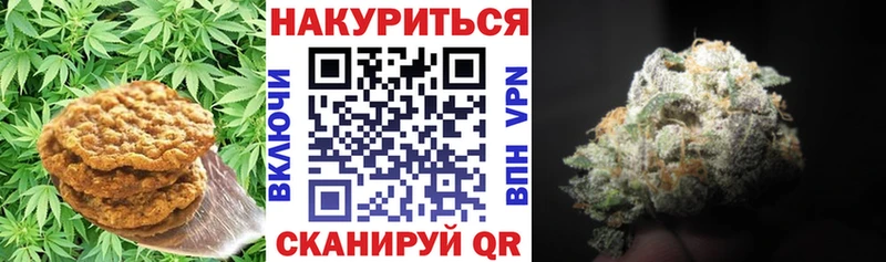 Canna-Cookies марихуана  Фрязино 