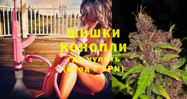 дживик Балахна