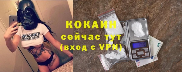 дживик Балахна